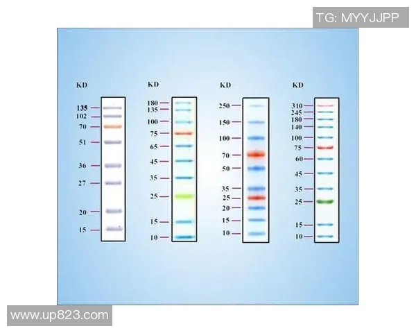 提升网球技巧与运动热情：从基础训练到实战策略的全面指南