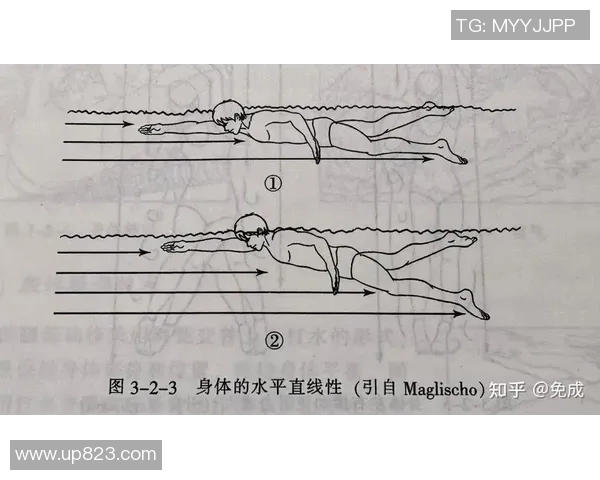 自由泳训练全方位提升技巧与耐力的系统化方法解析